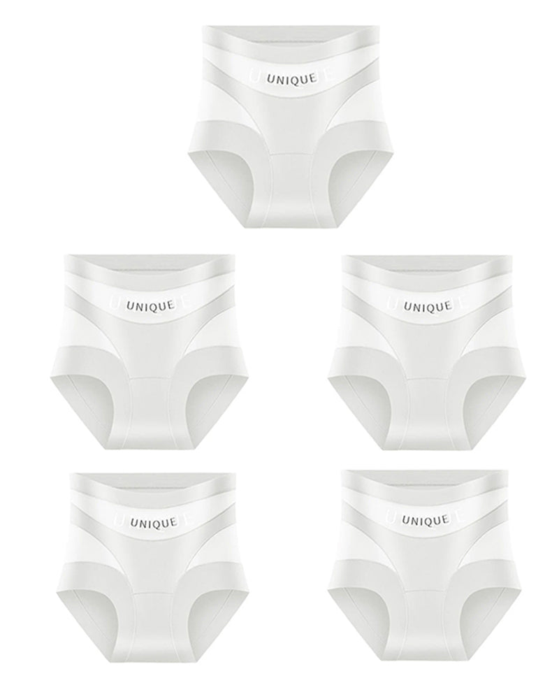 Sheer Mesh Briefs