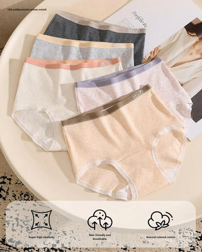10A Antibacteria Cotton Briefs