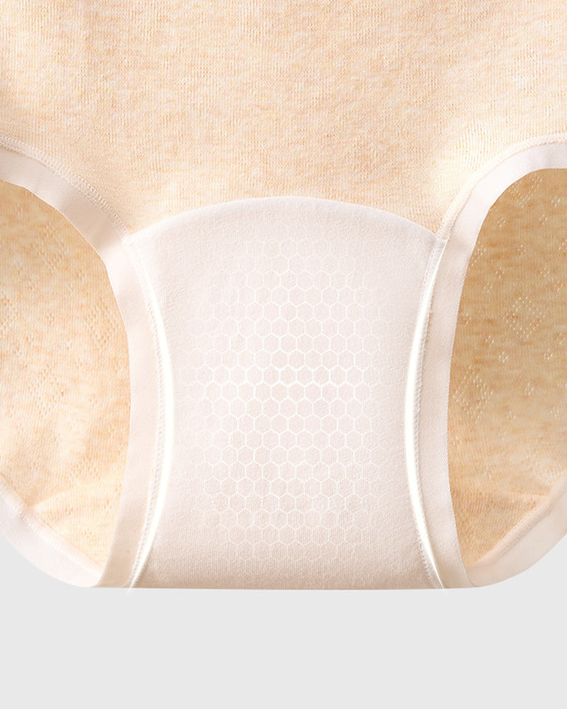 10A Antibacteria Cotton Briefs