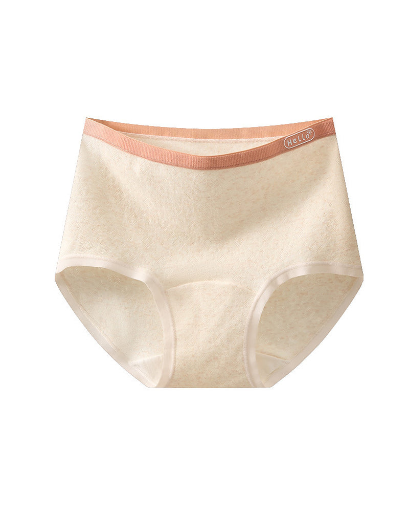 10A Antibacteria Cotton Briefs