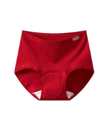 10A Antibacteria Cotton Briefs