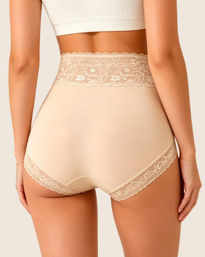 High Waisted Sheer Lace-trim Briefs